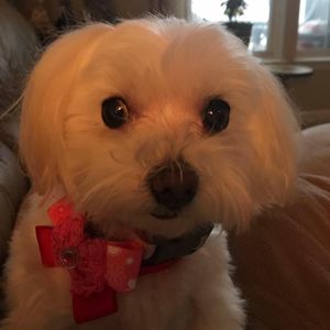 Meet your Posher, Cheryl